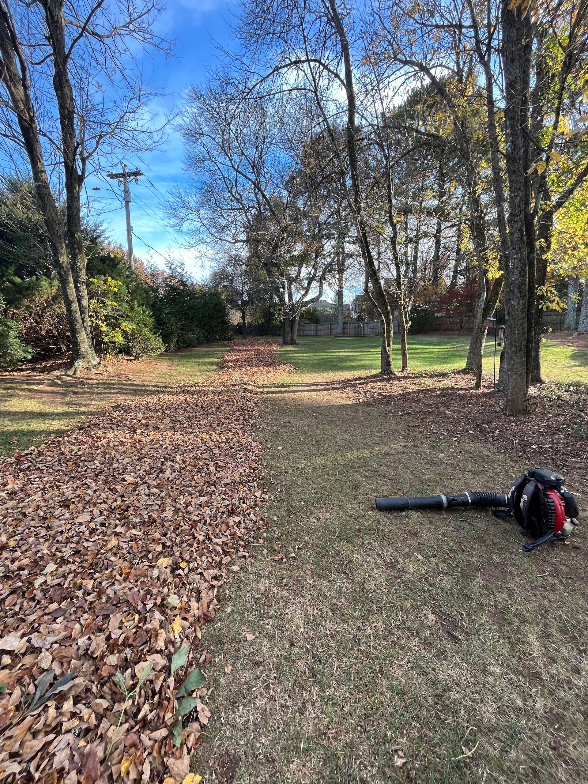 A leaf blower is sitting on top of a pile of leaves in a park.