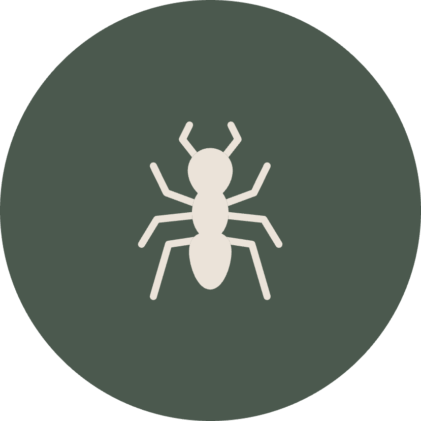 PhoenixArea Pest Control Services CAPE Pest Control