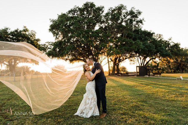 A bride and groom are kissing in a field with a veil blowing in the wind.
