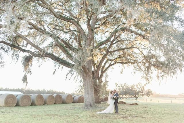 A bride and groom are standing under a tree in a field.