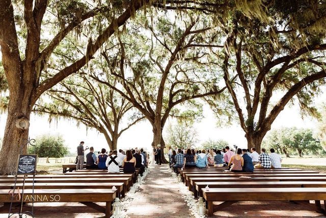 A group of people are sitting under trees at a wedding ceremony.