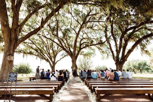 A group of people are sitting under trees at a wedding ceremony.
