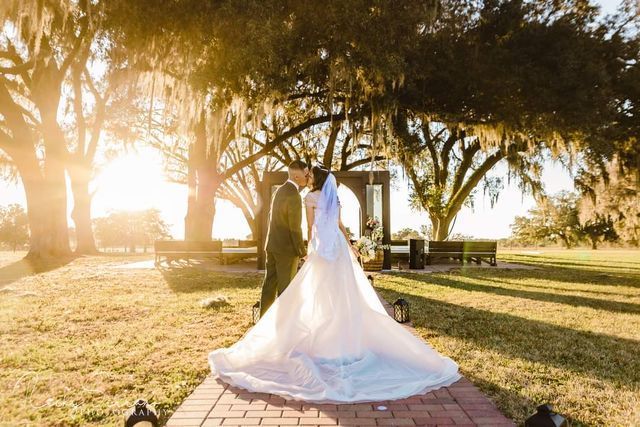 A bride and groom are kissing under a tree at their wedding.