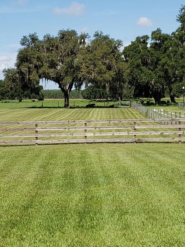 A wooden fence surrounds a lush green field with trees in the background.