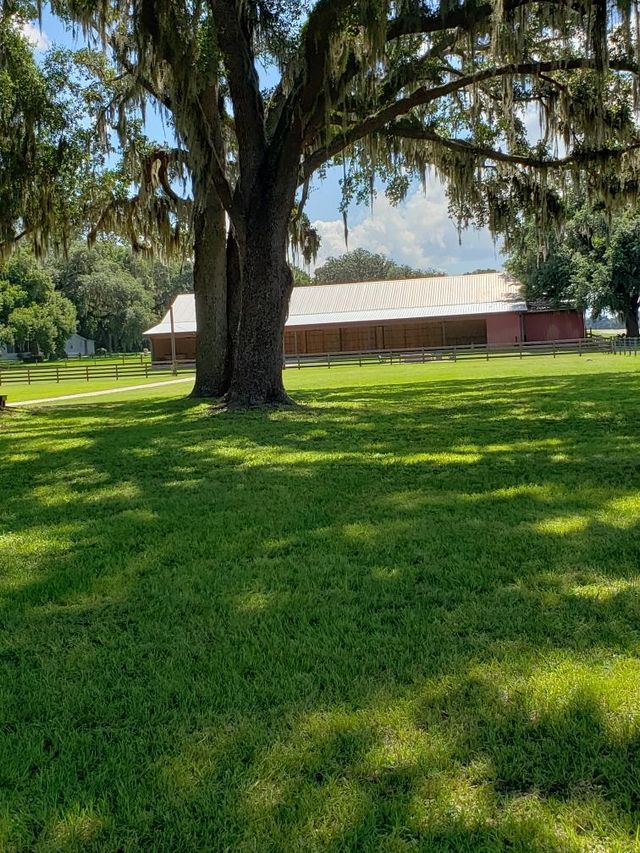 A large grassy field with a barn in the background and a tree in the foreground.