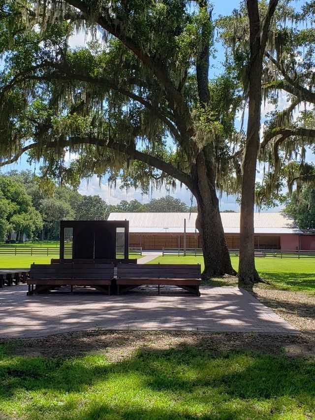 A train car is parked under a tree in a park.