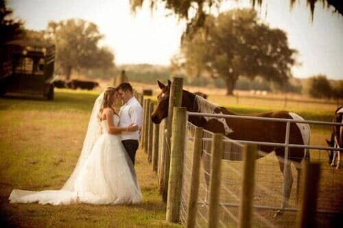 A bride and groom are standing next to a horse behind a fence.