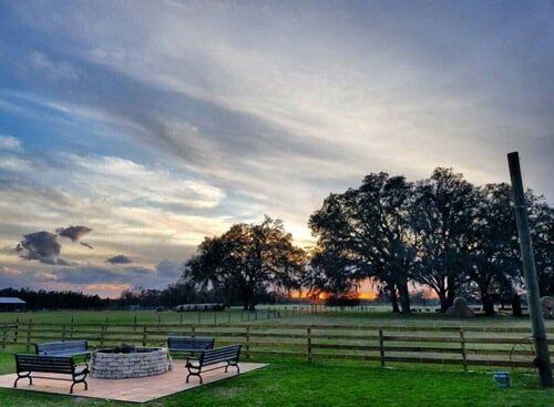 There is a fire pit in the middle of a grassy field.