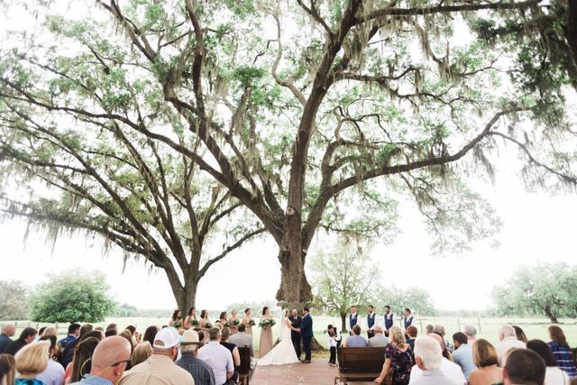 A group of people are sitting under a tree watching a wedding ceremony.
