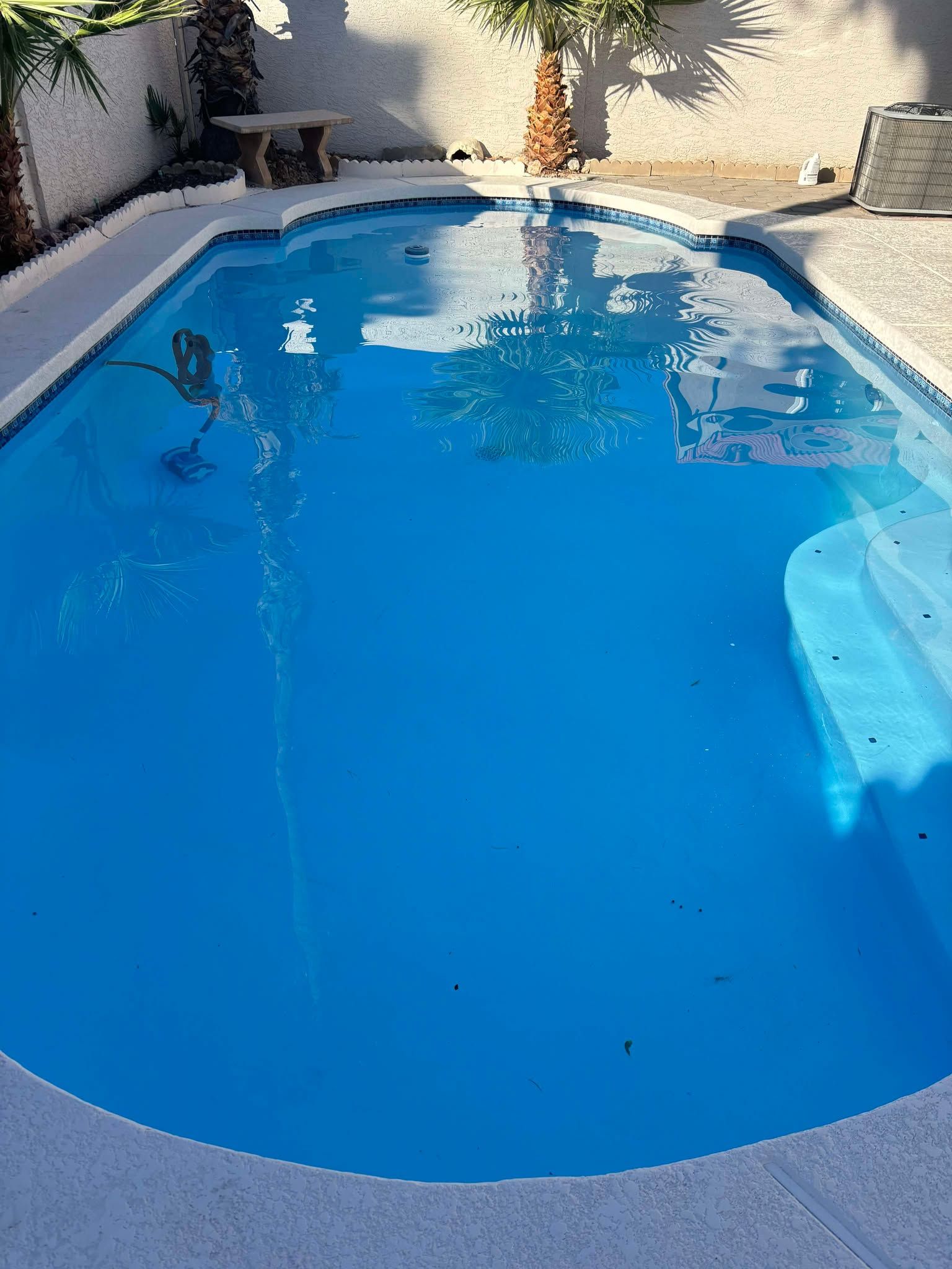 A blue, kidney-shaped swimming pool set in a backyard with a stone patio, palm tree, and bench in the background.