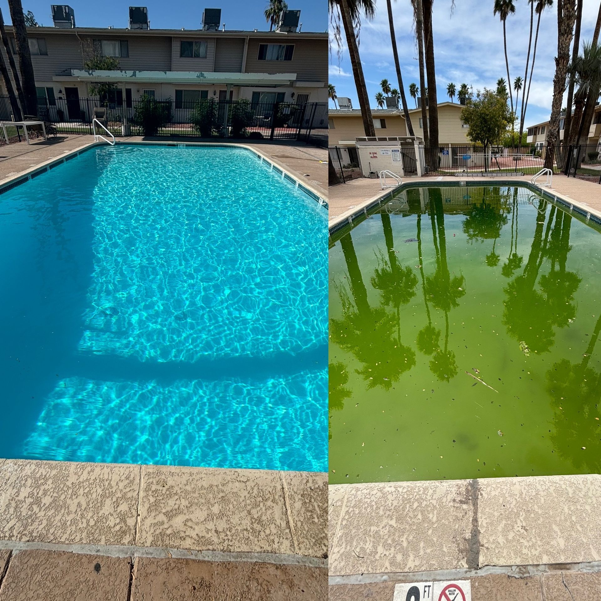 Split-screen comparison: a clean, bright blue swimming pool on the left, and a murky, algae-filled green pool on the right.