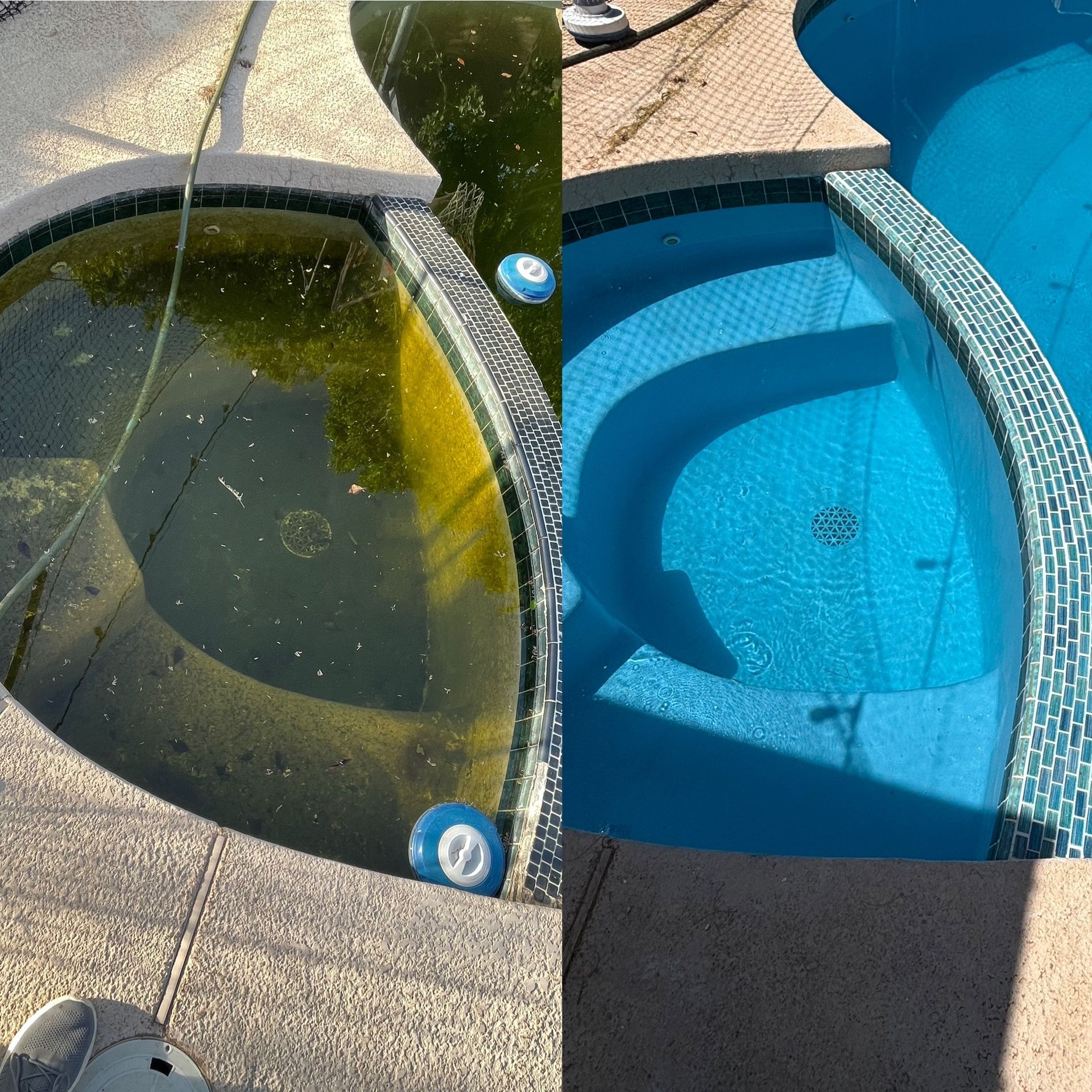 Before-and-after of a small round pool: murky green water on left, clear blue water on right.