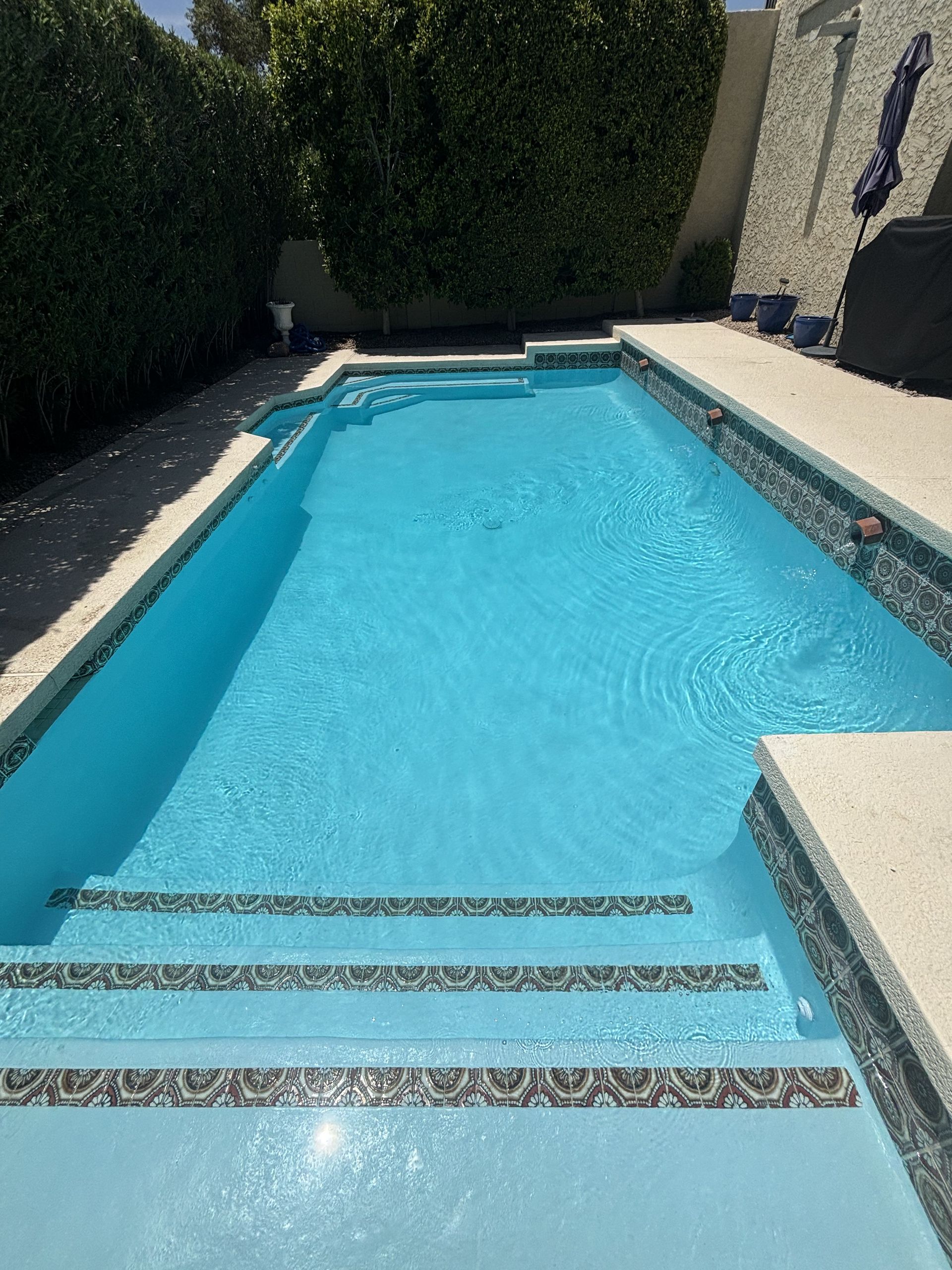 Narrow backyard swimming pool with bright blue water, stone deck, and hedge-lined walls