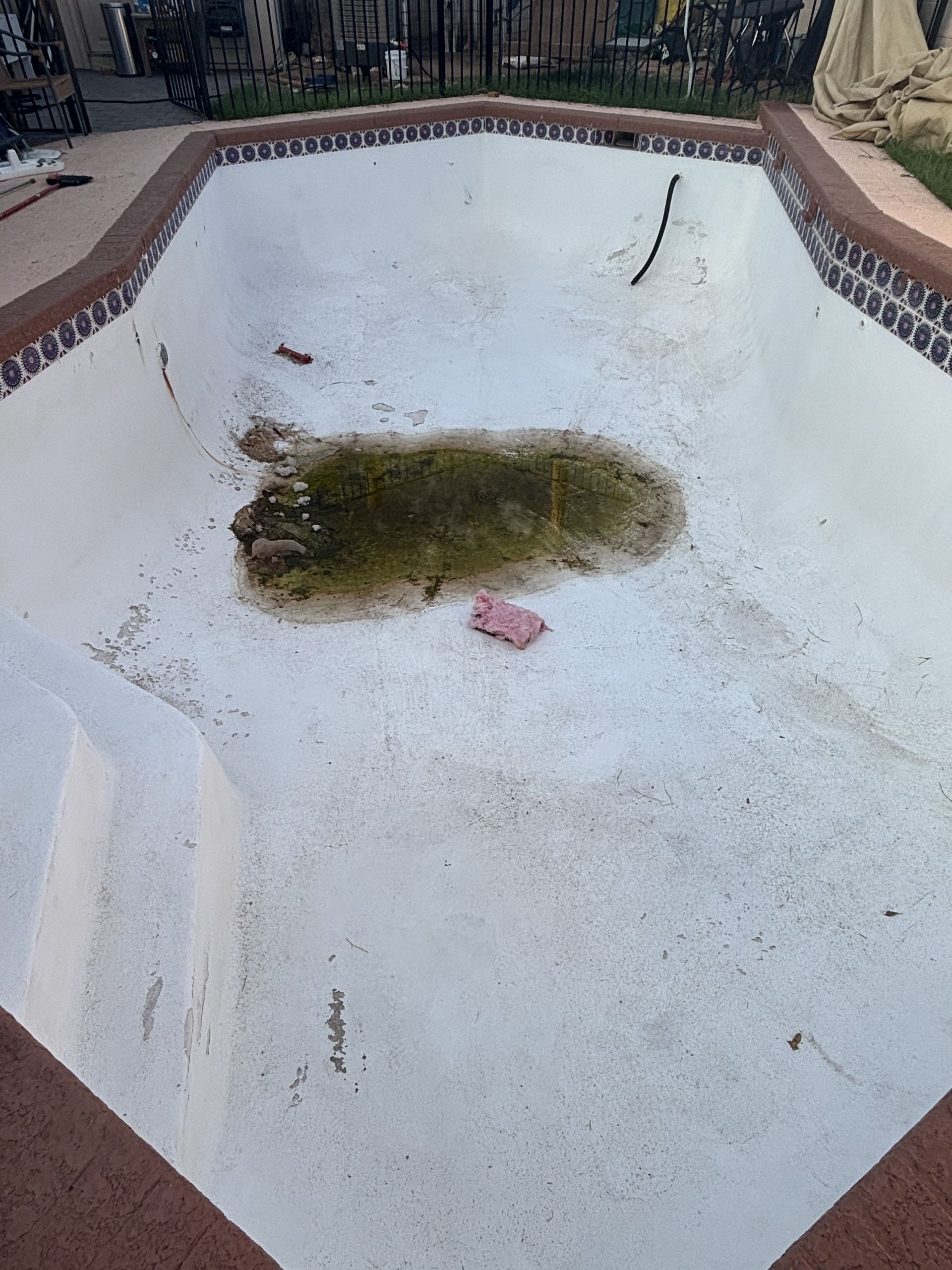 Empty drained pool with a large dead fish lying on the white bottom.