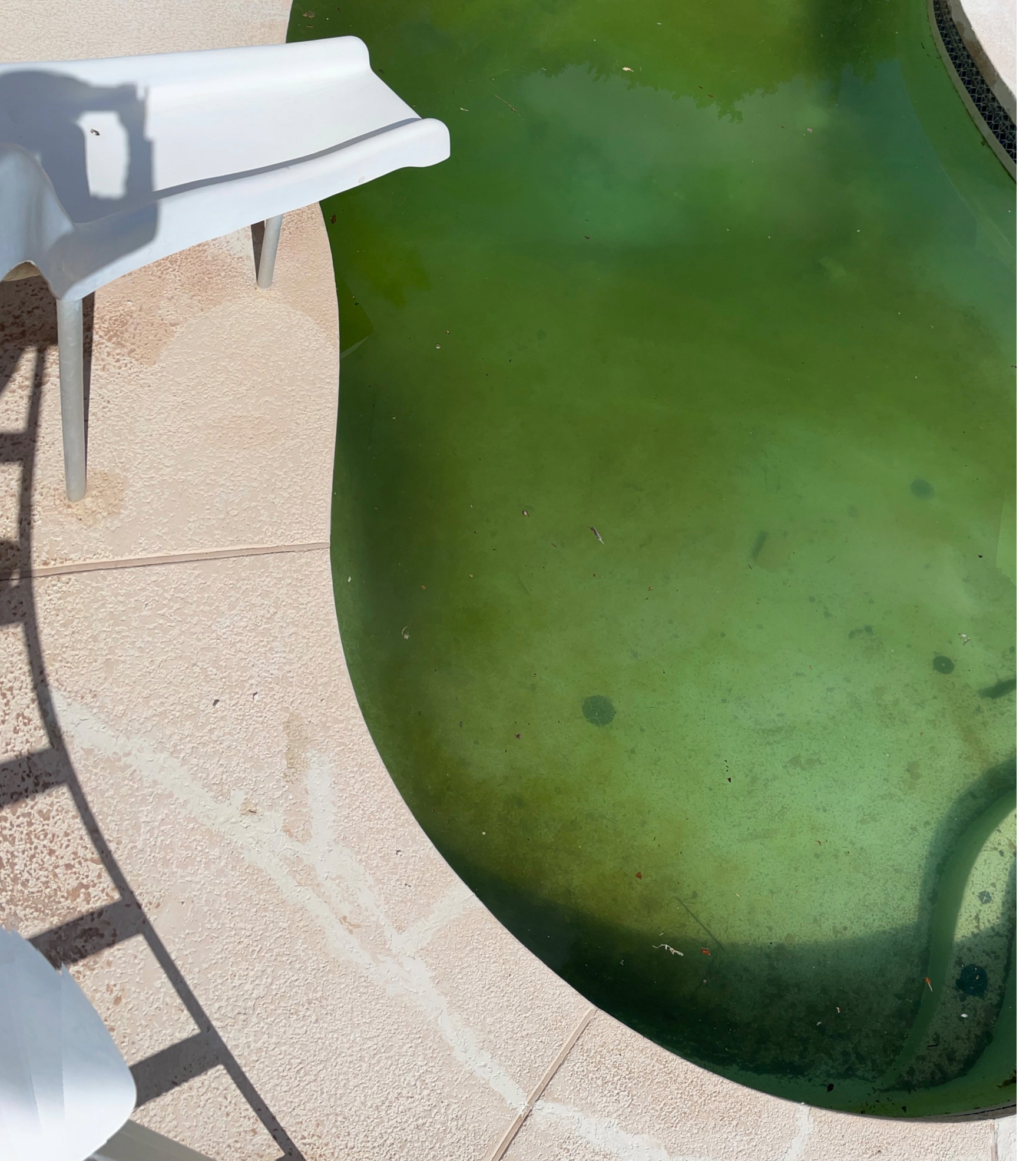 A white pool slide stands beside a murky, green swimming pool with visible debris on the bottom.