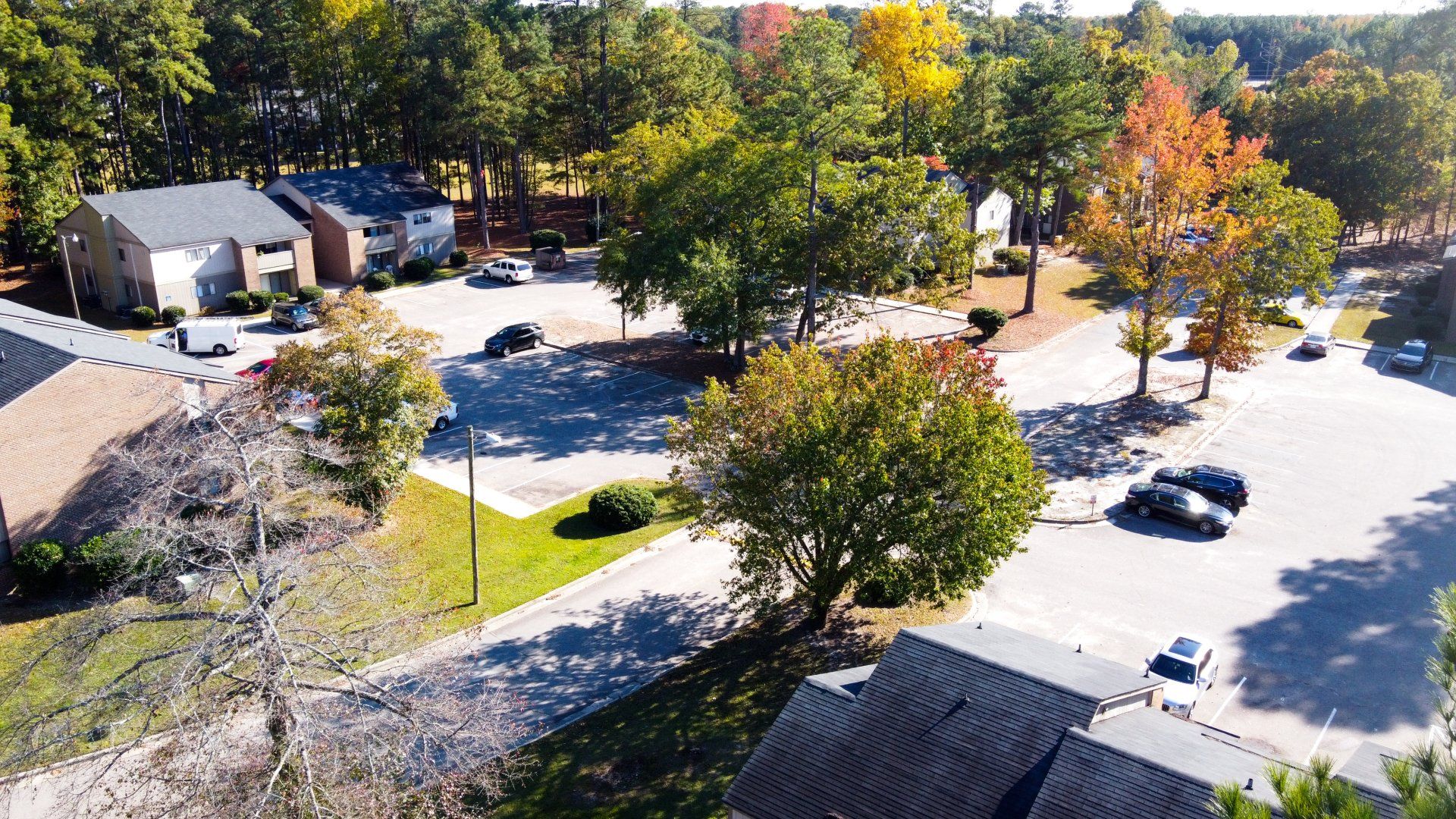 Aerial view of complex with lots of trees