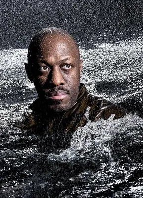 Hamlet in the water and looking at the camera