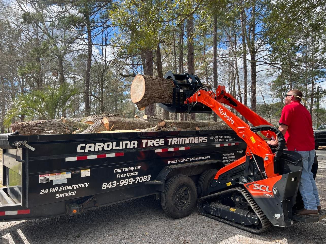 A large tree is being cut down by a crane.