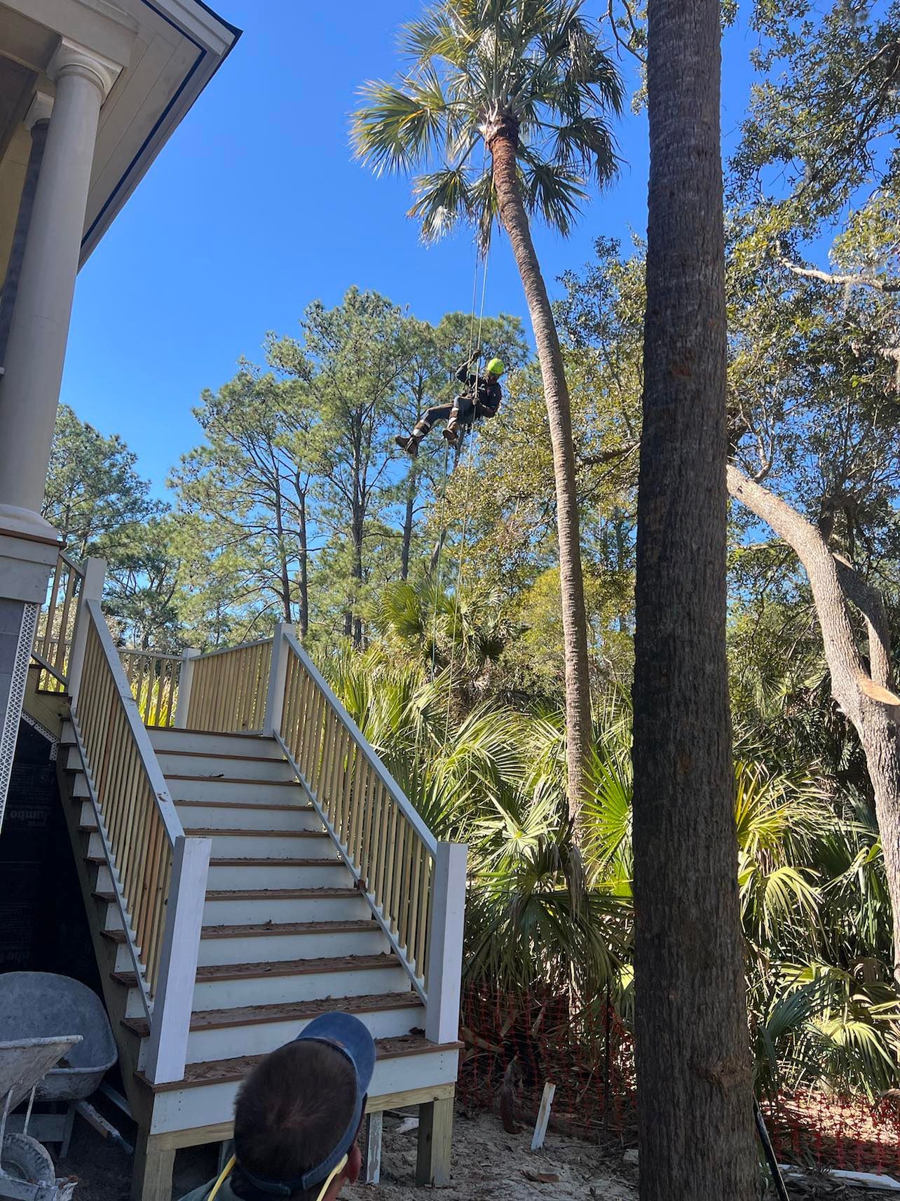 A group of people are working on a tree in a yard.