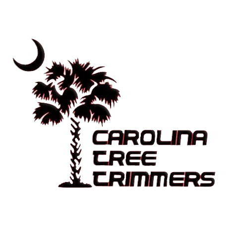 A logo for carolina tree trimmers with a palm tree and a crescent moon