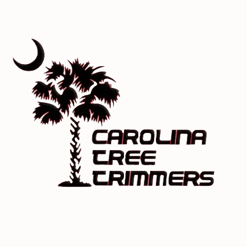 A logo for carolina tree trimmers with a palm tree and a crescent moon