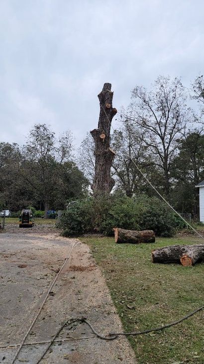 A large tree stump is sitting in the middle of a driveway.