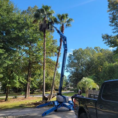 A truck is parked on the side of the road next to a tree.