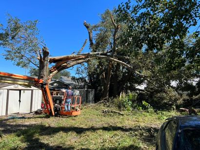 A large tree is being cut down in front of a house