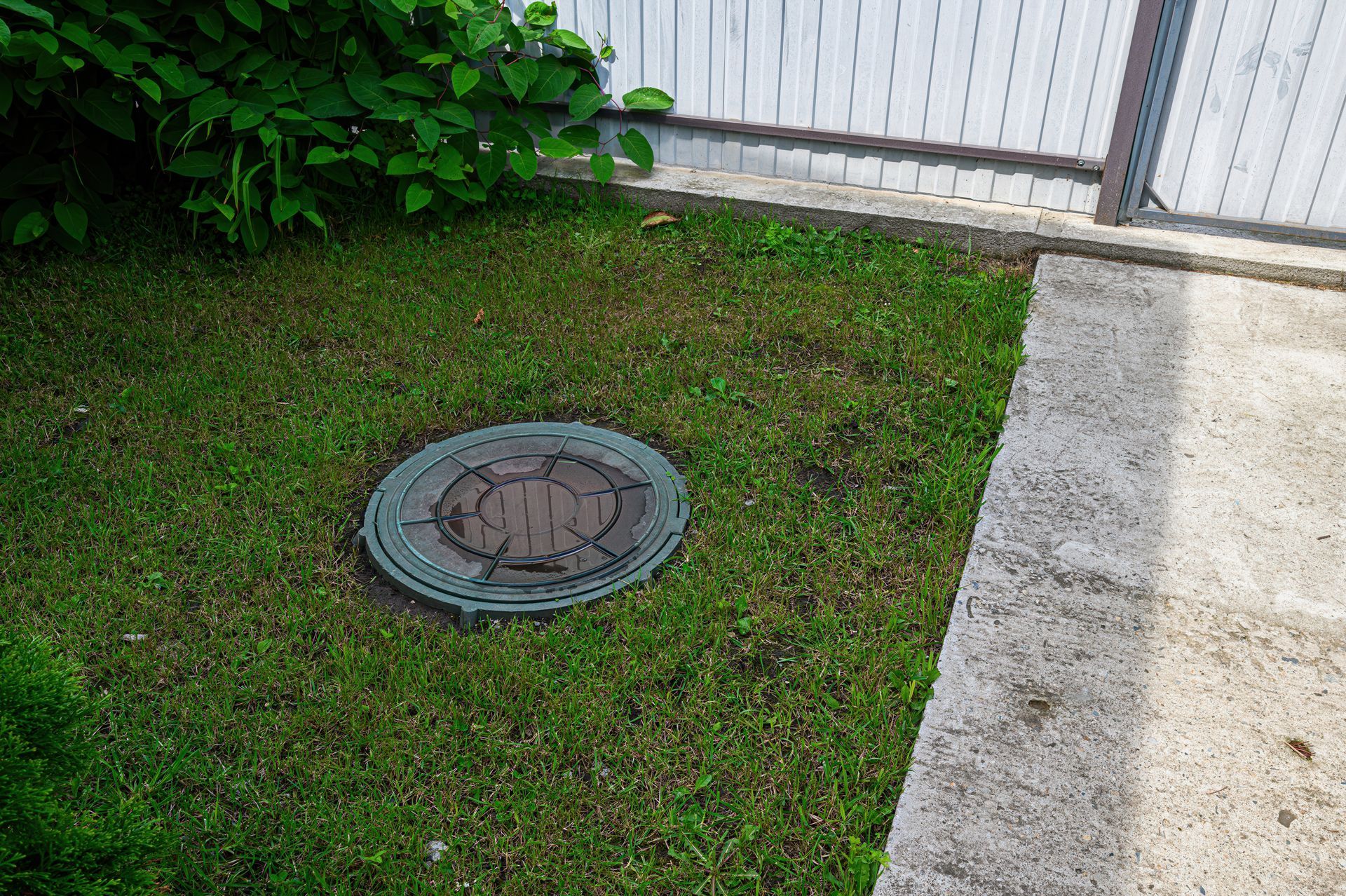 Round septic tank access lid in a grassy yard beside a concrete walkway and fence.