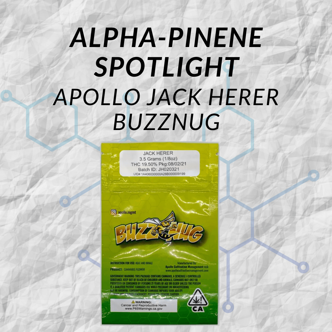 Apollo Jack Herer Buzznug Apollo Jack Herer Buzznug