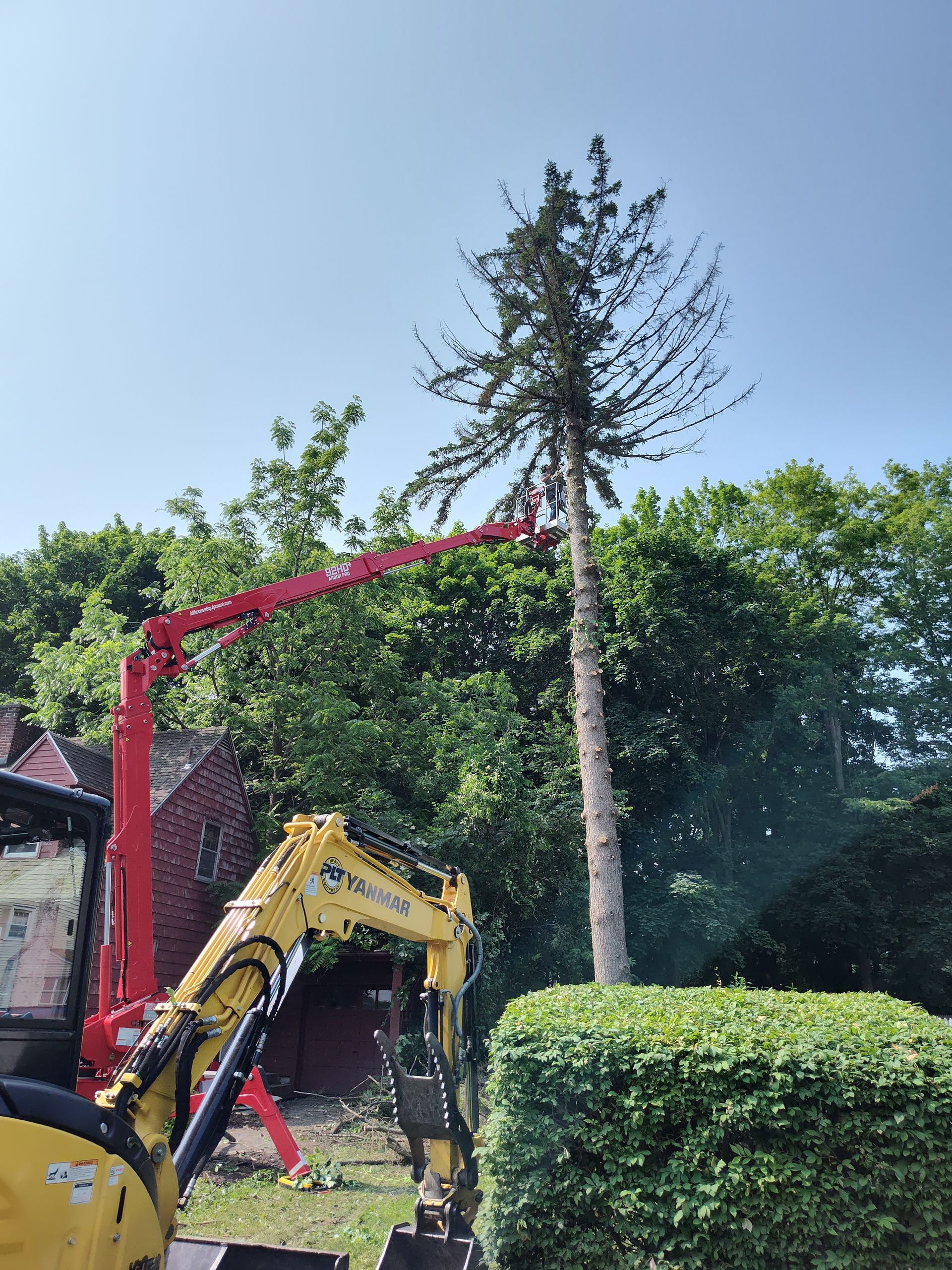 Tree services - Pittsfield, MA - Northern Oak Tree & Home Services