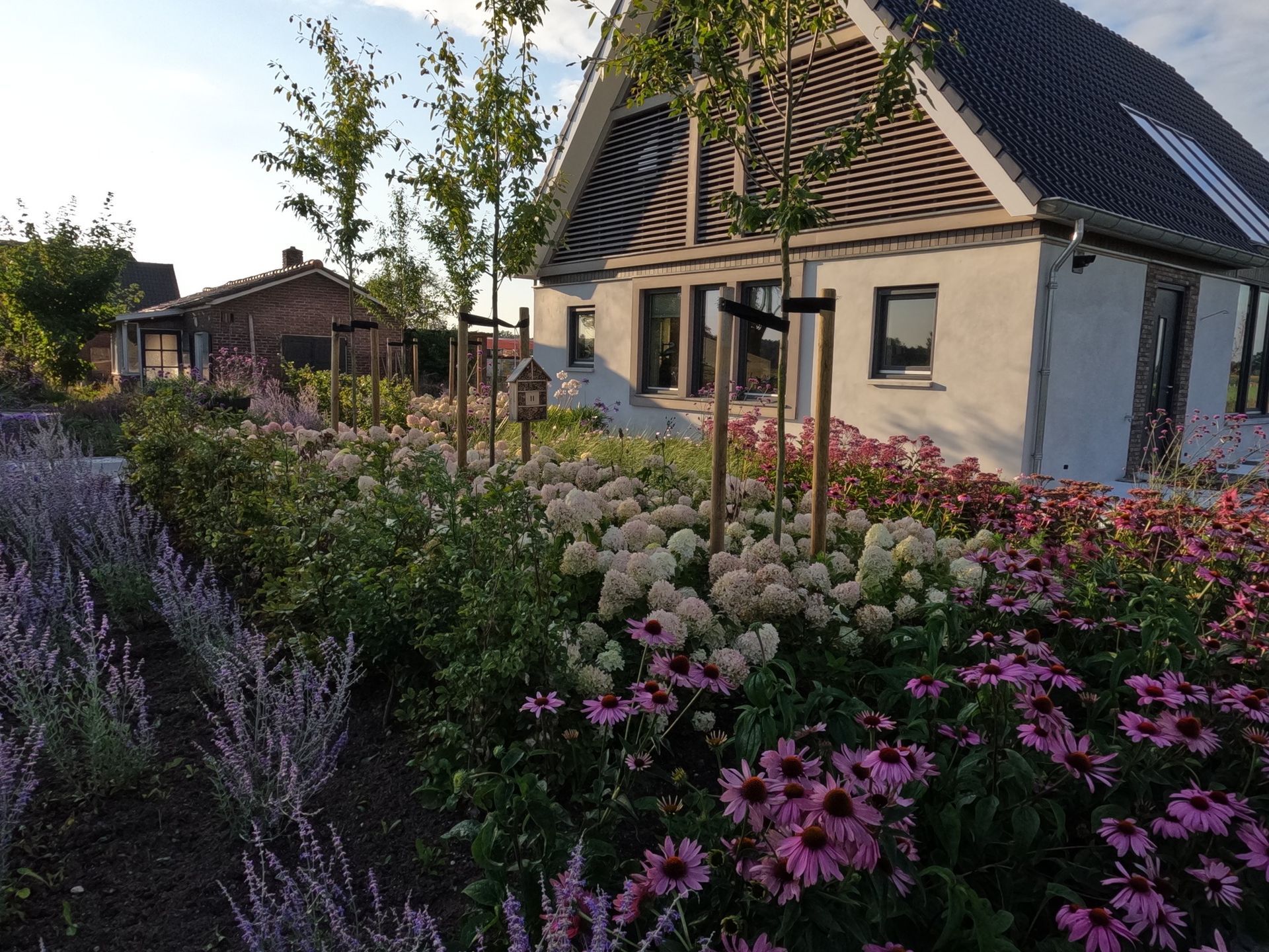 Een huis met een staptegelpad en veel bloeiende planten, een beukenhaag en 5 bomen.