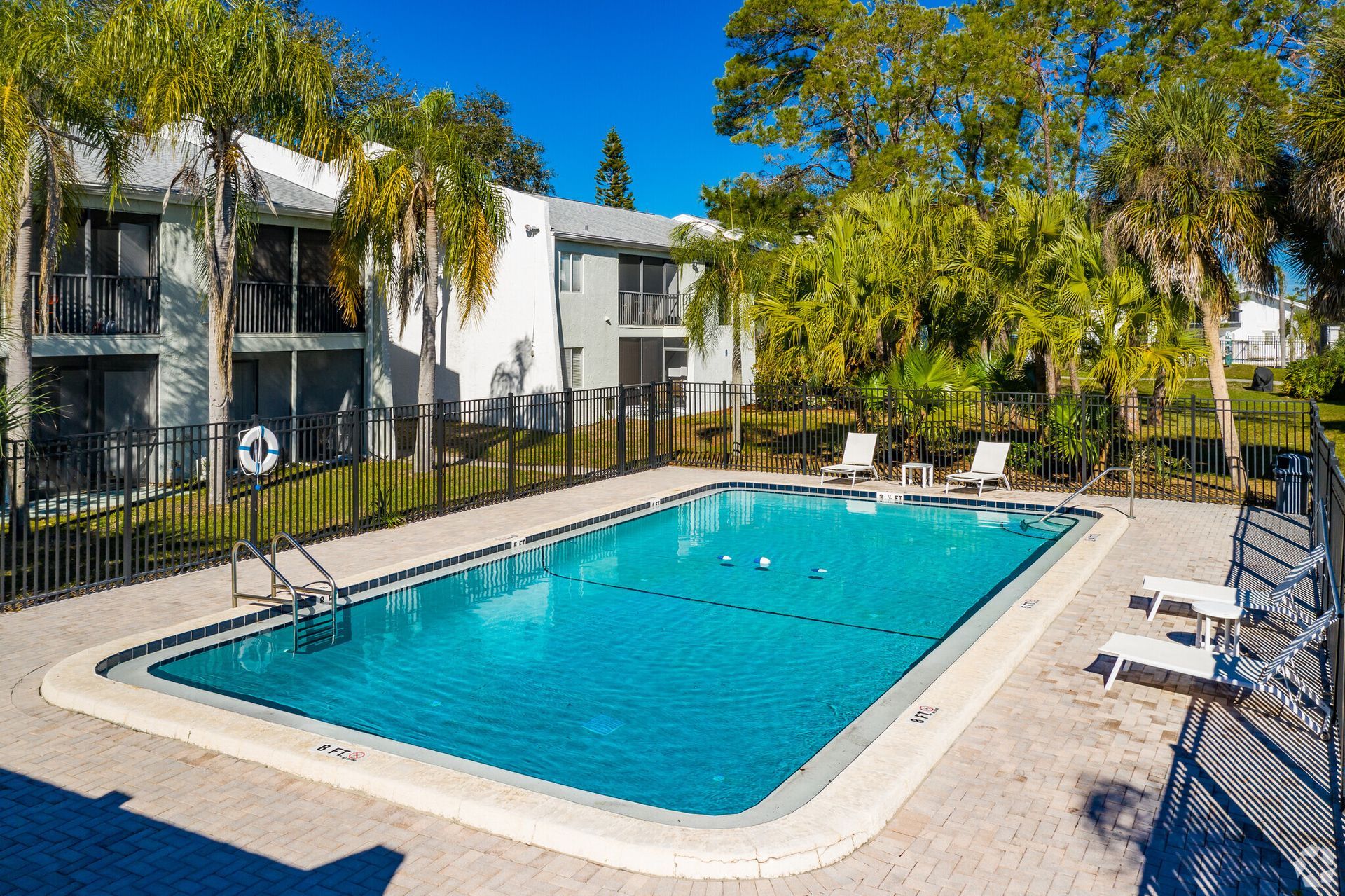 A large swimming pool surrounded by chairs and umbrellas in a backyard.