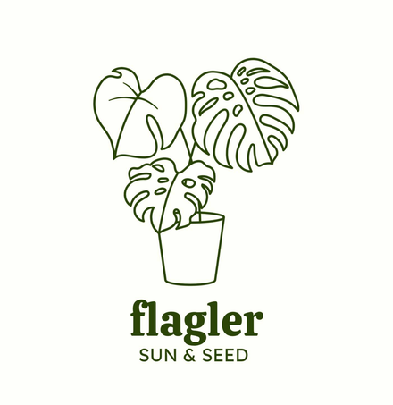 Logo of a potted monstera plant with “flagler SUN & SEED” text beneath