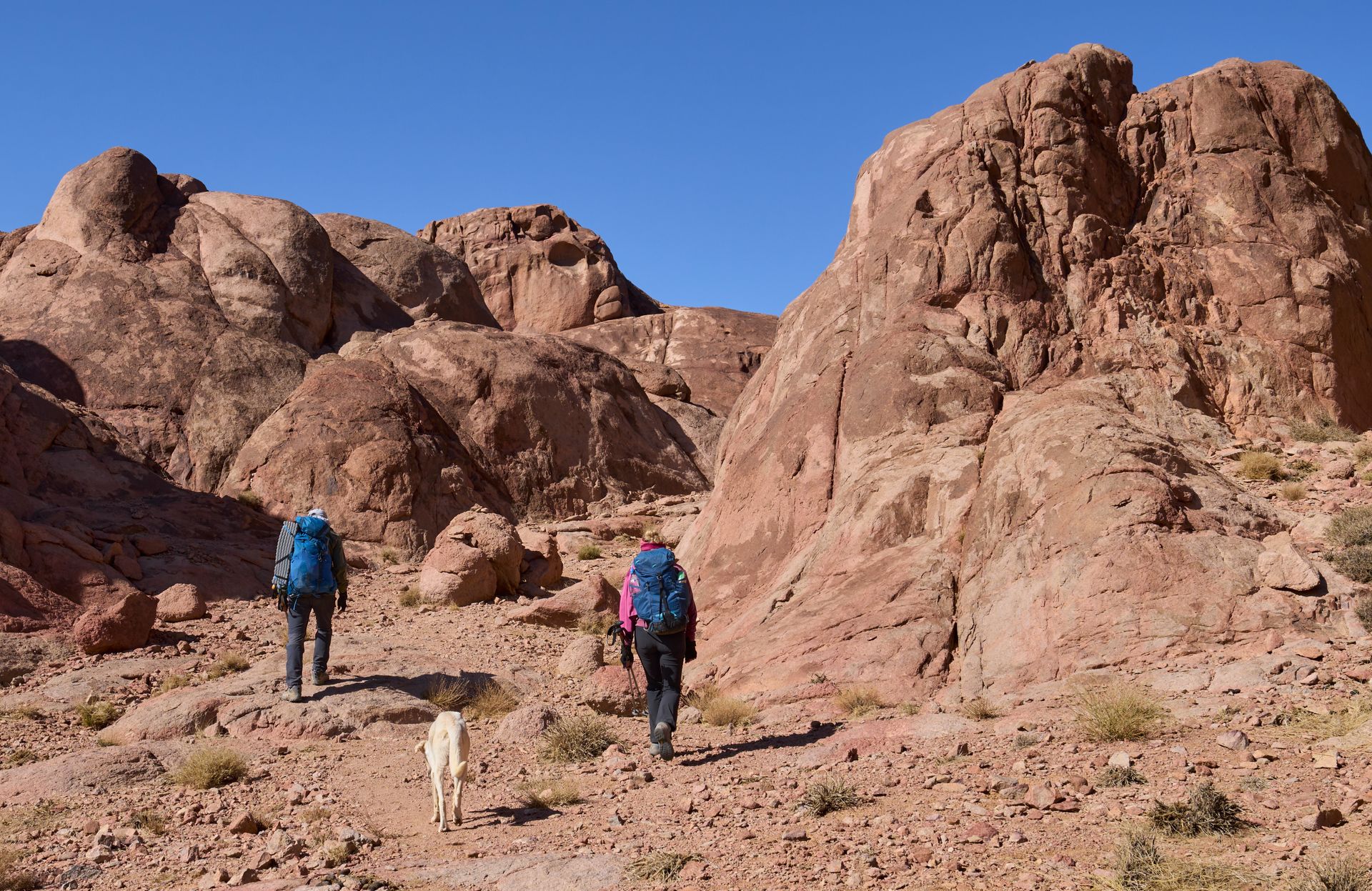 Two hikers and a dog walking through a rocky desert canyon under a clear blue sky