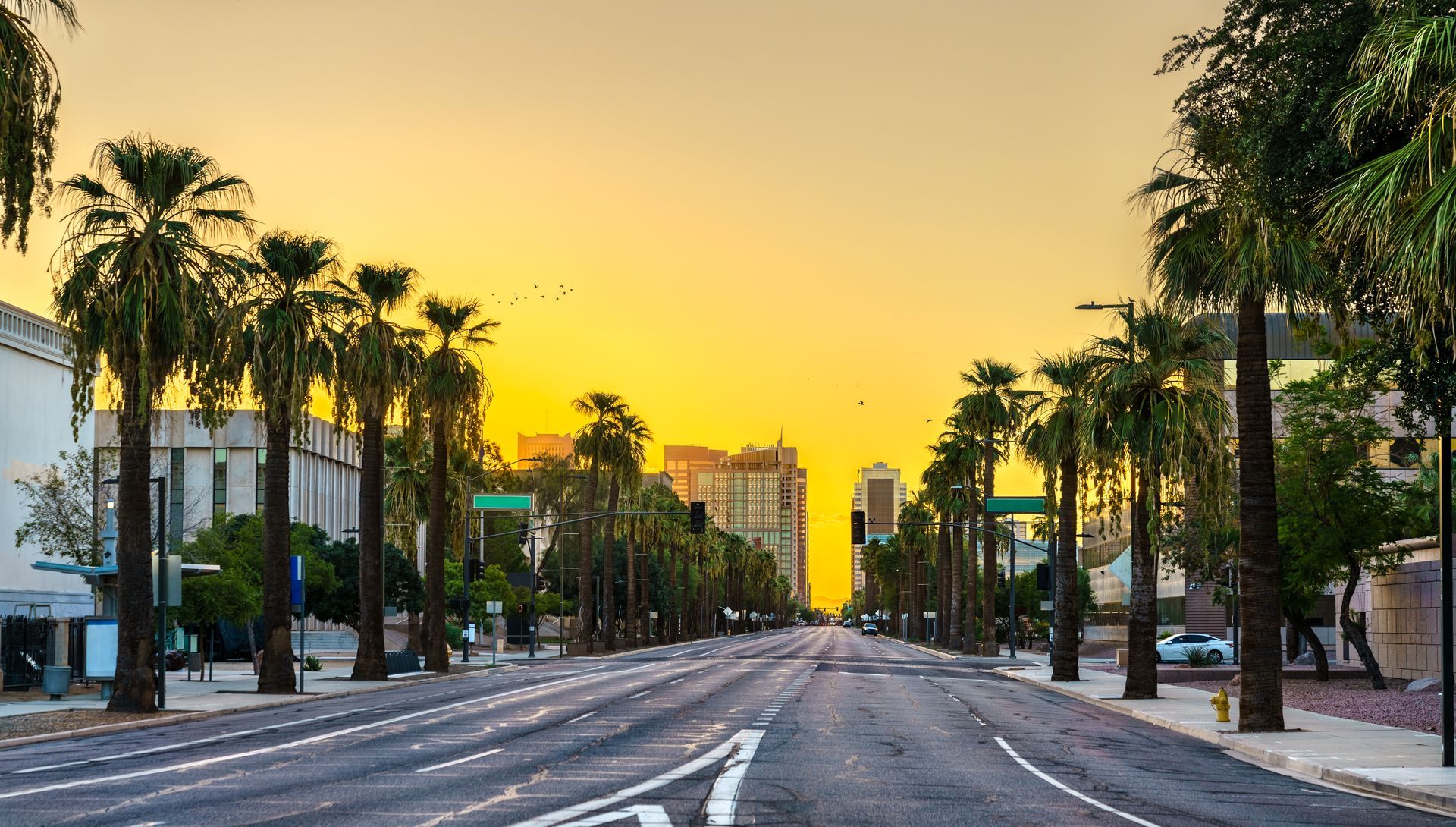 Sunset over a palm-lined city street with tall buildings and a mostly empty road