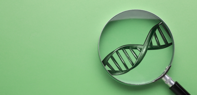 Magnifying glass over a green background, enlarging a DNA double helix