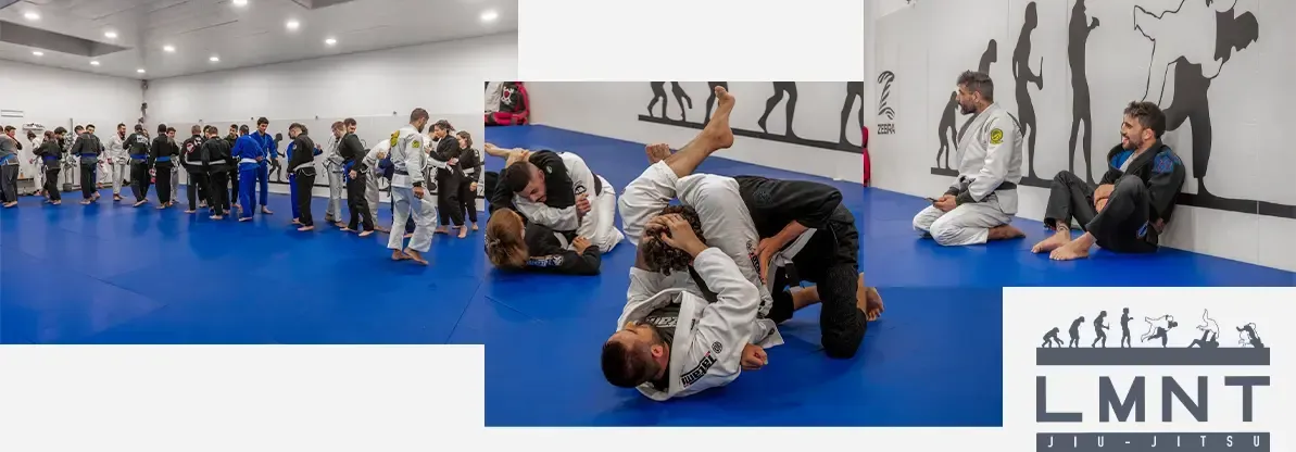 LMNT - École de Jiu-Jitsu LMNT - École de Jiu-Jitsu