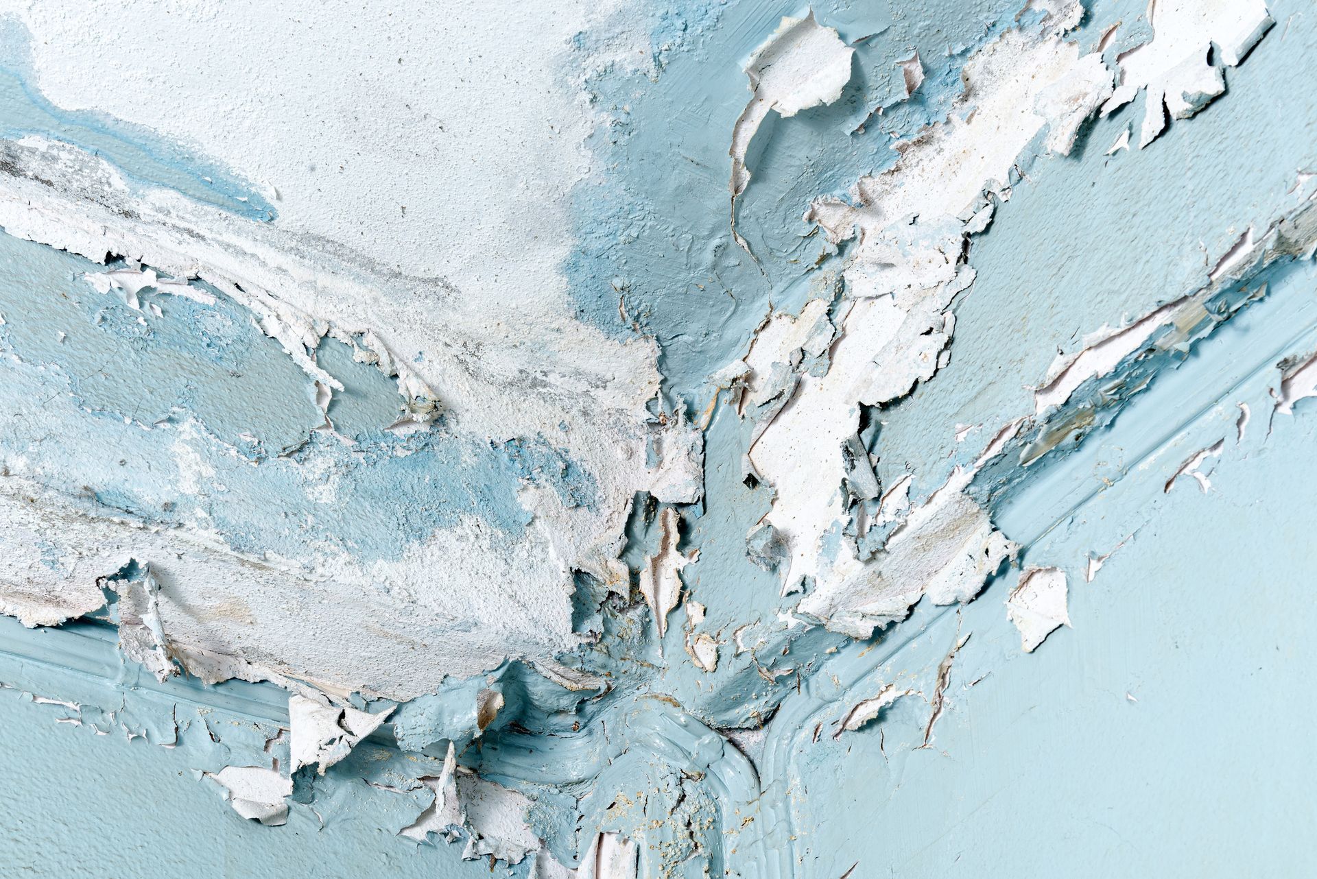 Peeling blue and white paint at ceiling corner with moisture damage. Peeling blue and white paint at ceiling corner with moisture damage.