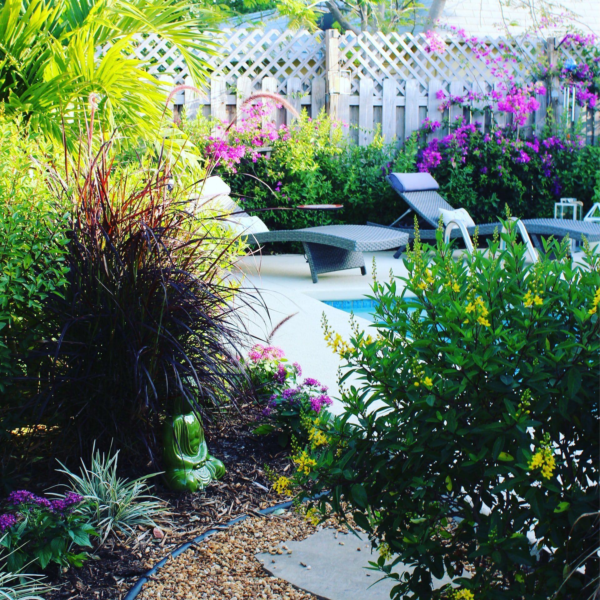 Lush backyard with swimming pool