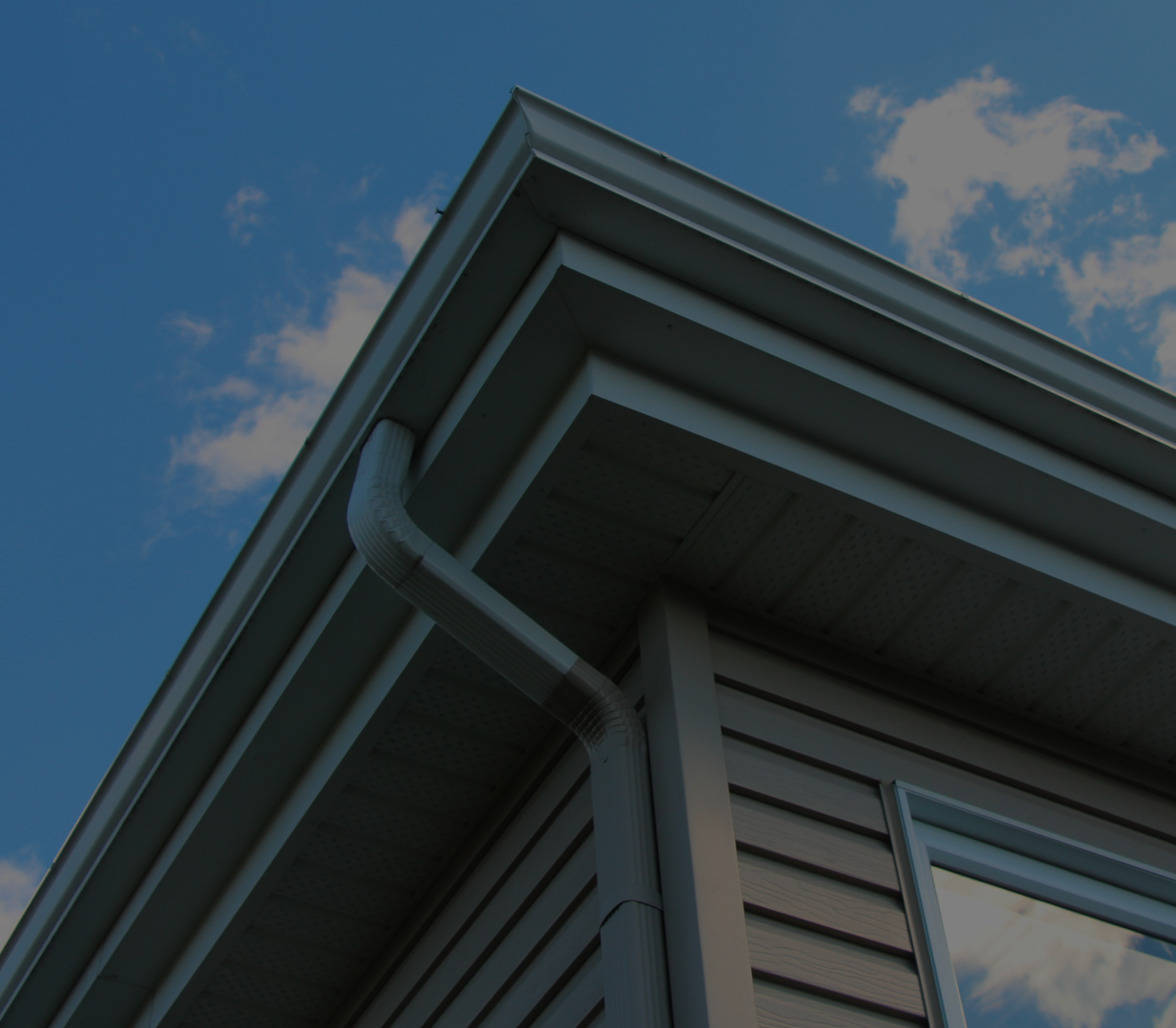 mold restoration