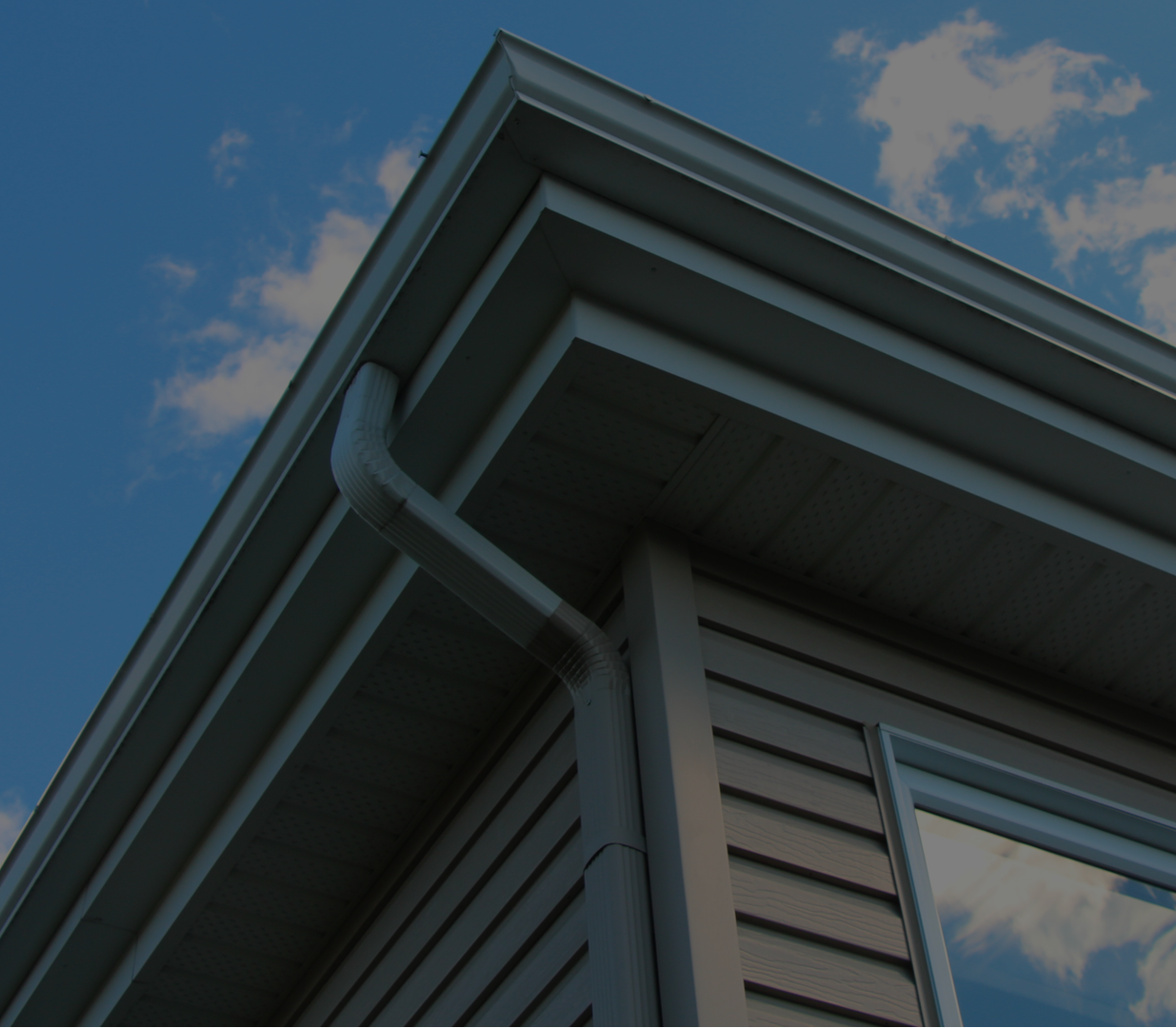 mold restoration