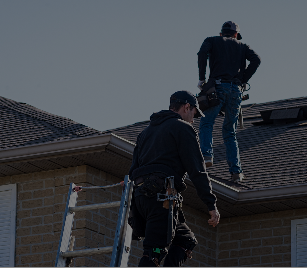 mold restoration