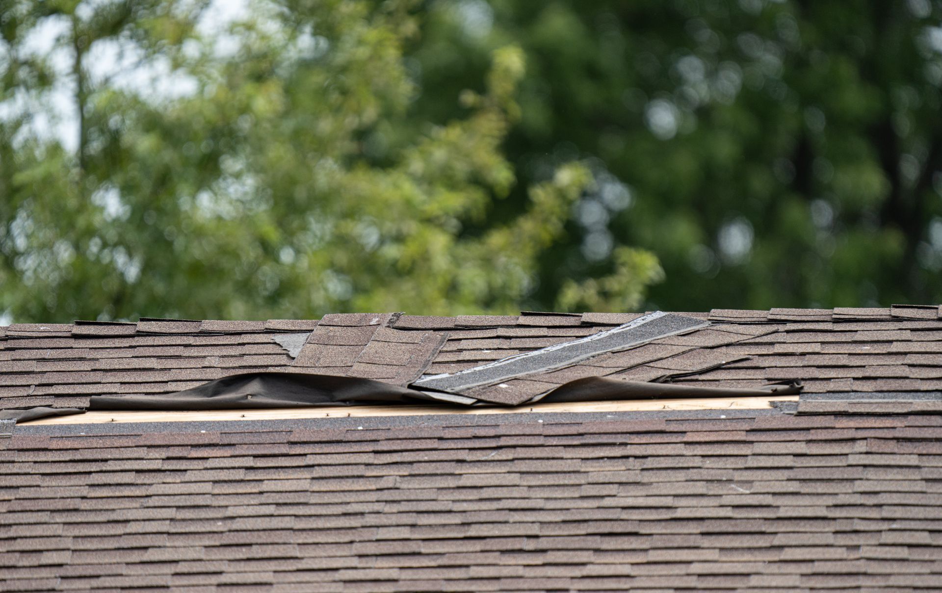 a roof with a hole in it and trees in the background .