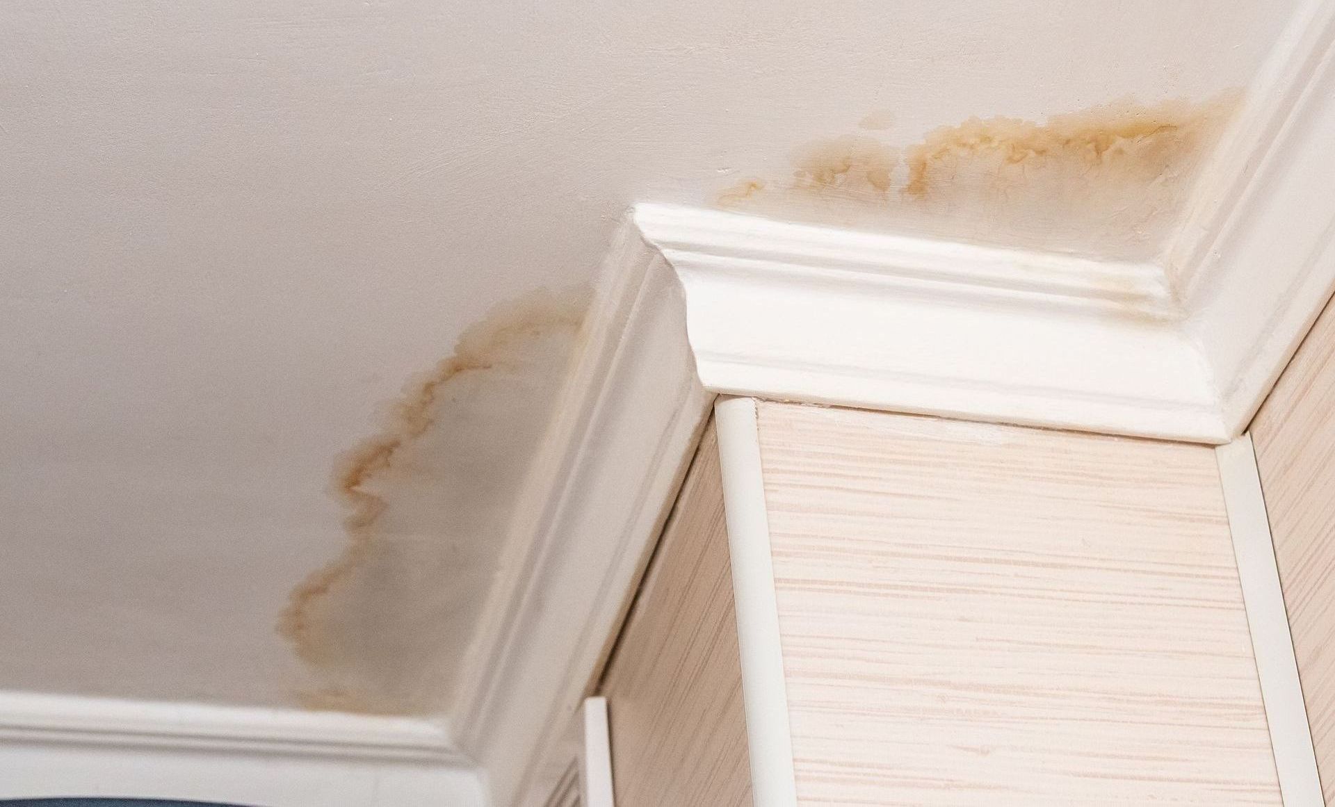 a corner of a ceiling with a stain on it .