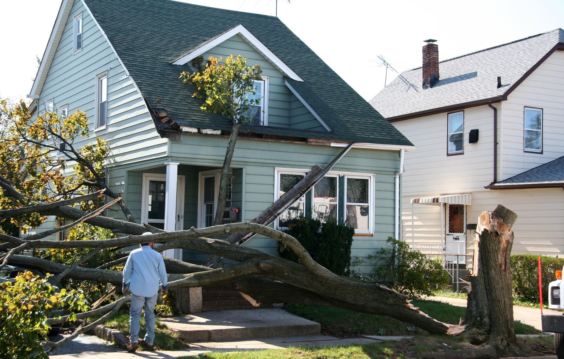 a tree has fallen in front of a house