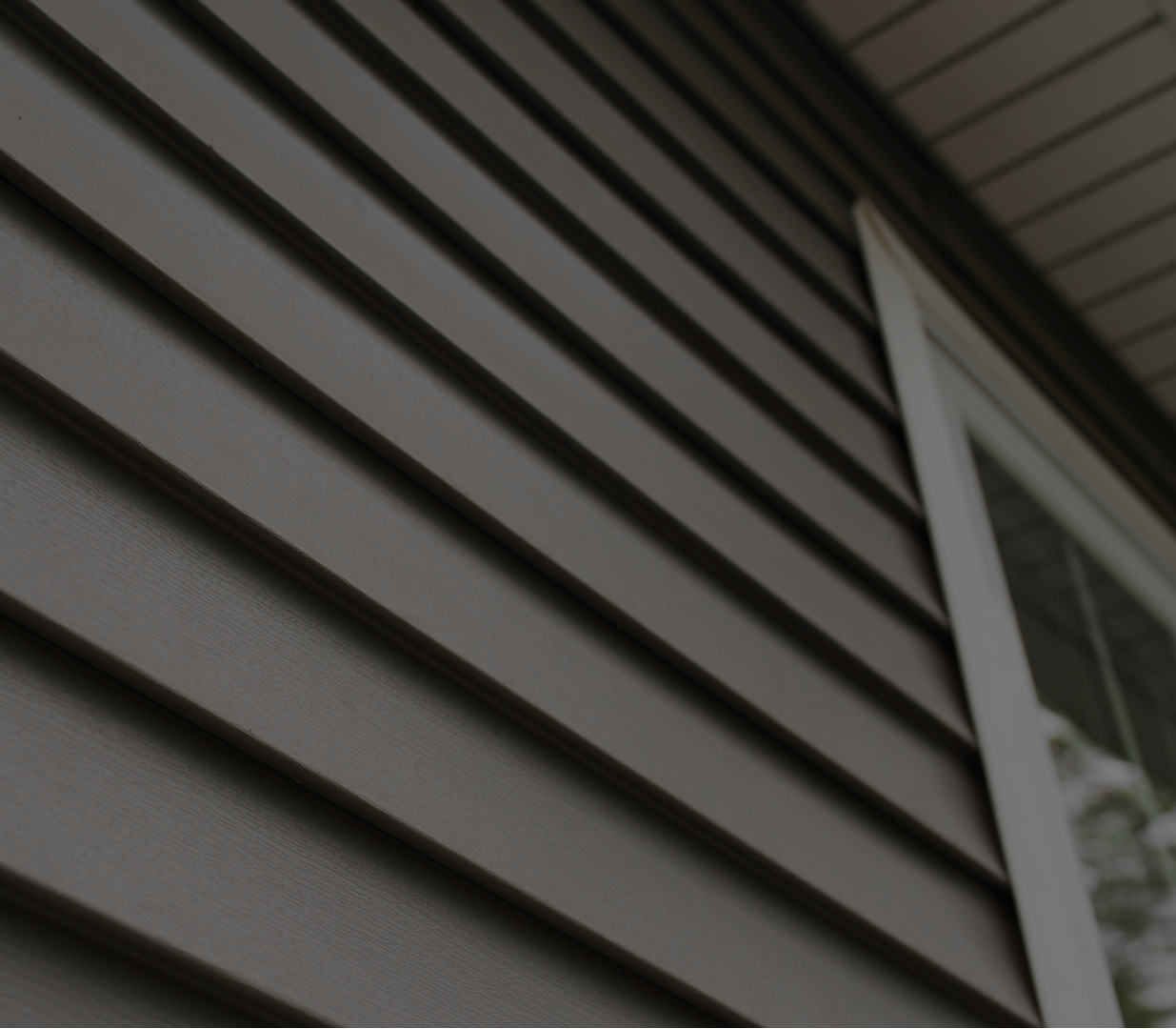 mold restoration
