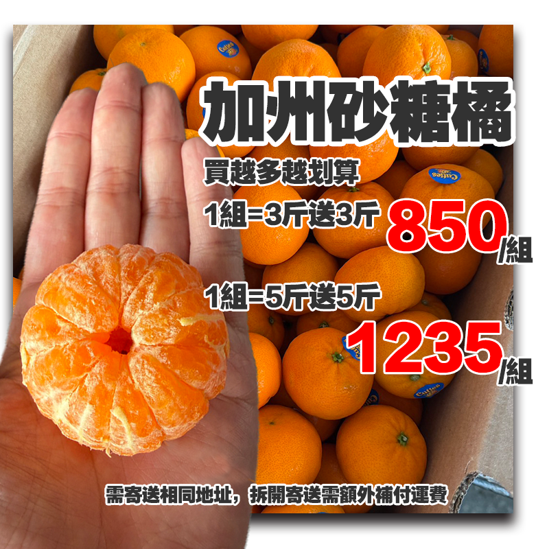 【全台免運】南非小可愛砂糖橘