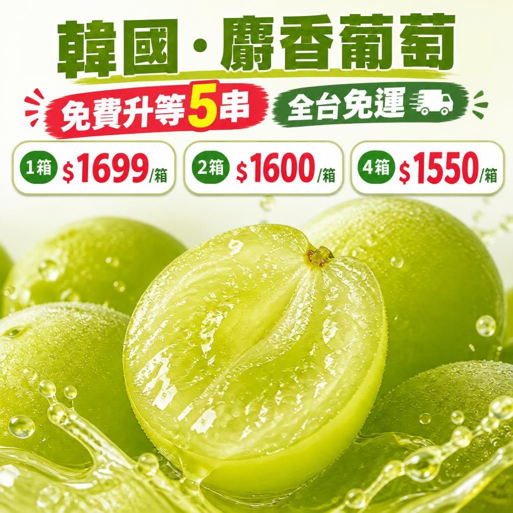 【免費升等】【韓國・麝香葡萄】1箱5串4公斤