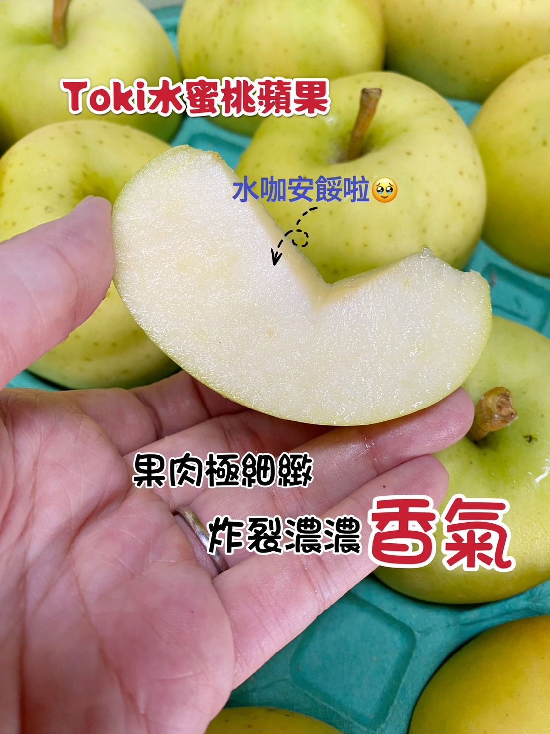 【全台免運】日本No1青森縣TOKI水蜜桃